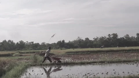 Farmer cart Stock Footage 154918021