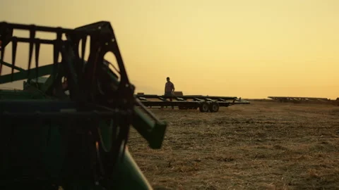 Farmer check harvesting process result at wheat field golden sunset. Rural view Video stock 194789204