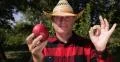 Farmer Check Mango Fruit Showing Camera Satisfied Looking Ok Hand Sign Gesture 4k or 4k+ Resolution