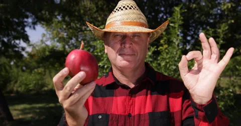 Farmer Check Mango Fruit Showing Camera Satisfied Looking Ok Hand Sign Gesture Stock Footage 57534651