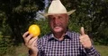 Farmer Check Orange Fruit Showing Great Results Happy Man Thumbs Up Gesture 4k or 4k+ Resolution