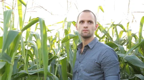 Farmer checking corn in the field Stock Footage 67864291