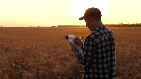 Farmer checking crop yield data at sunset. Agricultural expert analyzes field Stock Footage 334996474