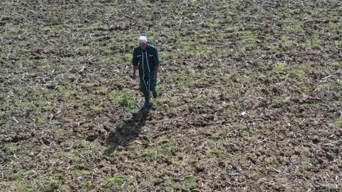 Farmer checking dryness of farm soil Stock Footage 130369823