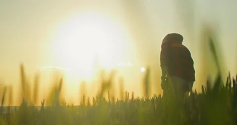 A farmer checking his field at sundown. Farmer, engineer wearing hat examining Stock Footage 157645380