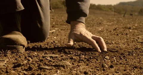 Farmer checking how dry the soil is on drought stricken farm 스톡 동영상 122356486
