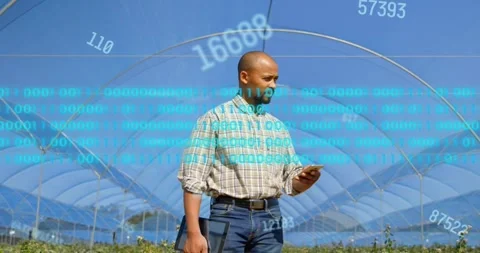 Farmer checking phone under hoop-house arches, creating data overlay while Stock Footage 329702203