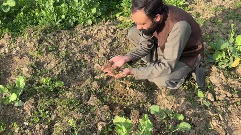 Farmer Checking Soil with Hands While Sitting in Rural Agricultural Field Vídeos de archivo 334865465
