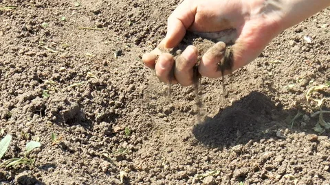 Farmer checking soil quality in hand Stock Footage 89957842