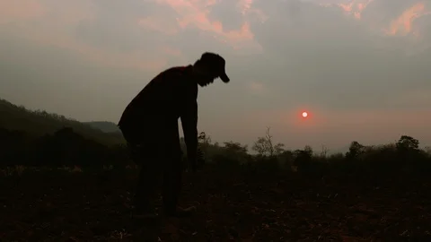 Farmer is checking soil quality before sowing wheat. Male hands touching soil on Stock Footage 125480328