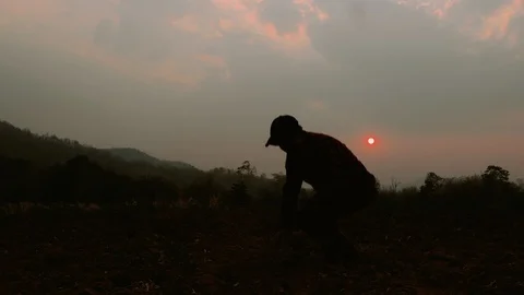 Farmer is checking soil quality before sowing wheat. Male hands touching soil on Stock Footage 125480456