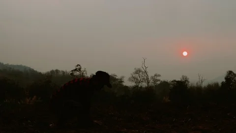 Farmer is checking soil quality before sowing wheat. Male hands touching soil on Stock Footage 125481180