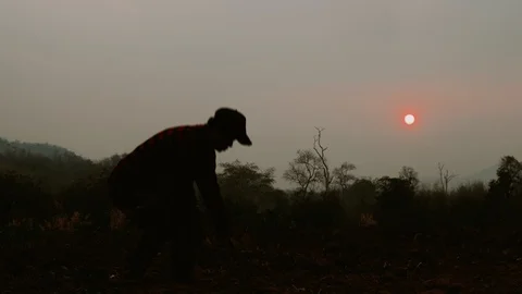 Farmer is checking soil quality before sowing wheat. Male hands touching soil on Stock Footage 125481278