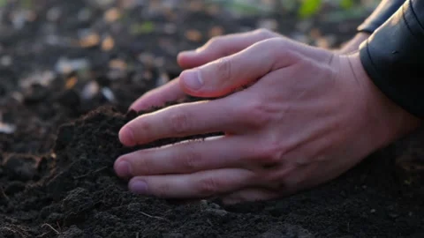 Farmer is checking soil quality before sowing Stock Footage 153461746