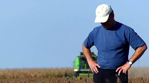 Farmer checking soybean Stock Footage 43595765