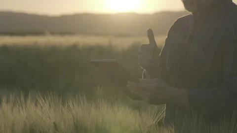 Farmer checking tablet data and showing thumbs up in barley field ungraded Stock Footage 337348717