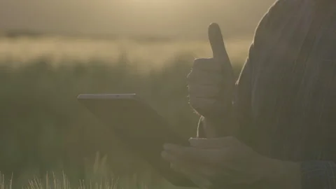 Farmer checking tablet data and showing thumbs up close up ungraded Stock Footage 337349089