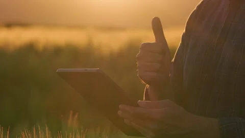 Farmer checking tablet data and showing thumbs up sunset close up Stock Footage 337349258