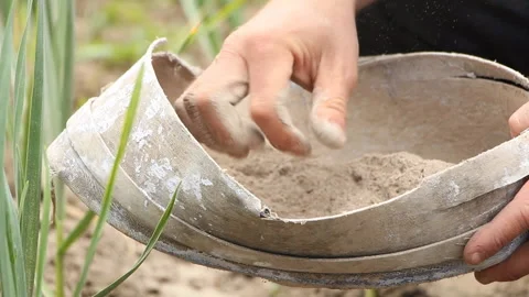 Farmer checks fertilizer Stock Footage 108278901