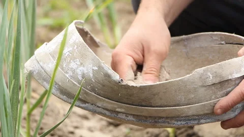 Farmer checks fertilizer Stock Footage 108310057