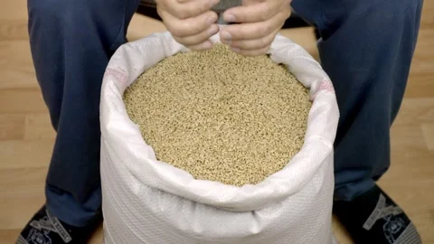 The farmer checks the grain 스톡 동영상 273979805