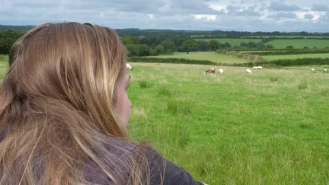 Farmer checks her flock Of Sheep in green field Stock Footage 78973902