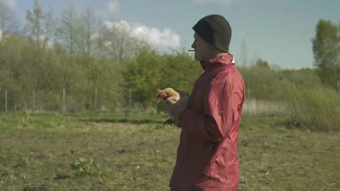 Farmer with chicken in his hands walking across field. Poultry. 스톡 동영상 240557401
