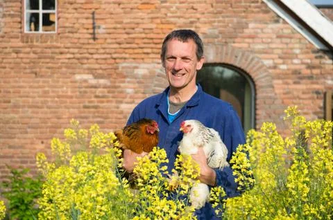 Farmer with chickens Stock Photos