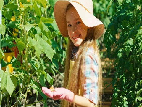 Farmer child caring about cucumber plants and smiling at camera Stock Footage 84581630