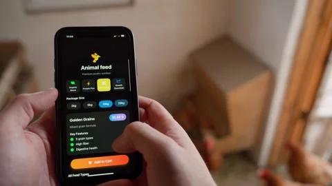 Farmer chooses type and quantity of feed for chickens and buys it on background Stock Footage 323374255