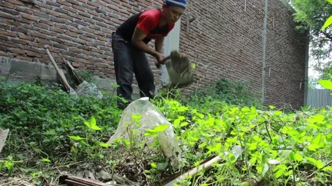 A farmer is cleaning the grass in the backyard Video stock 197641955