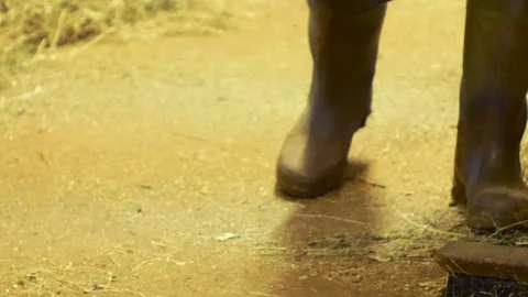 Farmer, cleans the stable from the hay Stock Footage 87210682