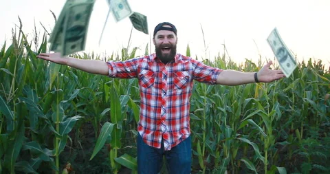 Farmer, close up of face in corn field Stock Footage 93508256