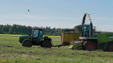 Farmer Combain harvesting in field Stock Footage 62394899