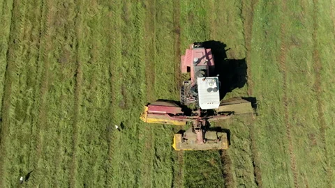 Farmer with a combine harvester mows down a field of juicy grass to feed the Vidéo 138074901