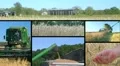 Farmer Combining Crops Composite HD Footage