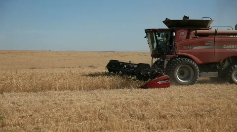 Farmer combining wheat Stock Footage 810556