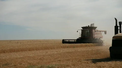 Farmer combining wheat Stock Footage 859428