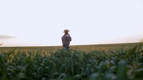 Farmer communicate by phone with a straw hat at sunset. Slow motion 動画素材 77144613