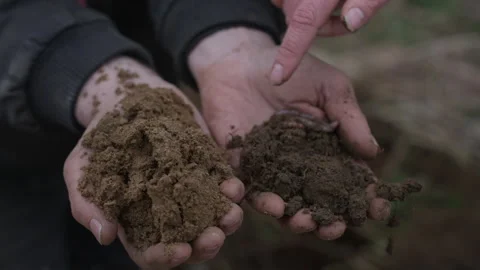 Farmer comparing different types of soil Stock Footage 340545901
