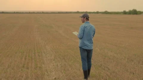 Farmer with computer tablet works in mowed field, analyzing harvest Stock Footage 210836136