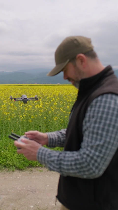 Farmer configuring drone remote control by yellow rapeseed field Stock Footage 336279407
