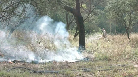 Farmer controlling the spread of a bush fire with a hose pipe Stock Footage 84027548