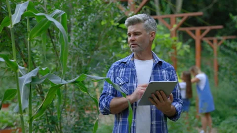 Farmer controls the growth of plants using a digital tablet. Male worker Stock Footage 236467574