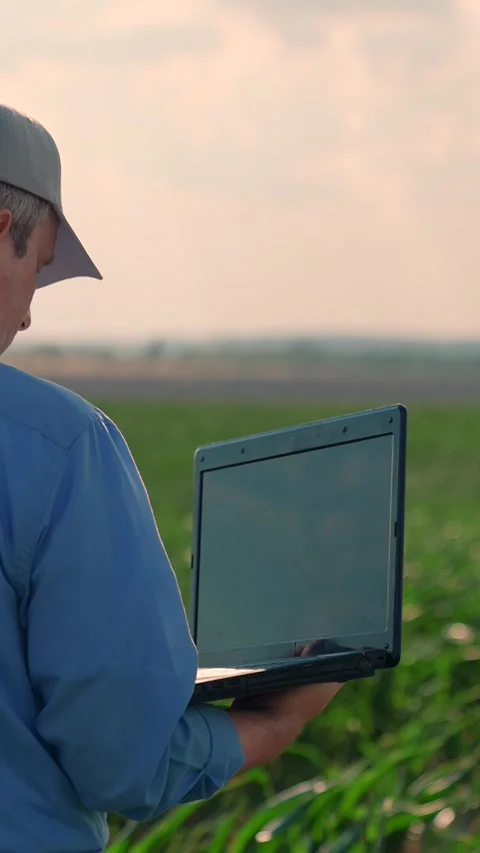 Farmer on corn field working with computer business farm. Agriculture business 動画素材 304441511