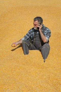Farmer at corn stack after harvest Stock Photos