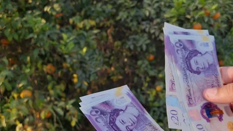 Farmer counting bank notes Stock Footage 259542965