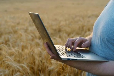 Farmer counts profits on a computer. Implementation of modern technologies in Stock Photos
