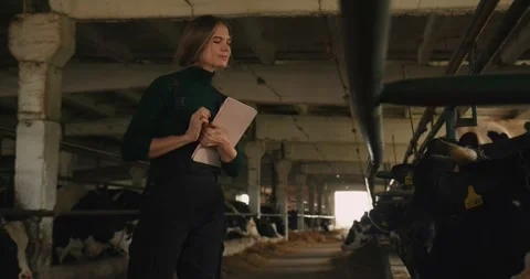 A farmer in a cowshed records the data of a cattle inspection on a dairy farm. Stock-Footage 278024003