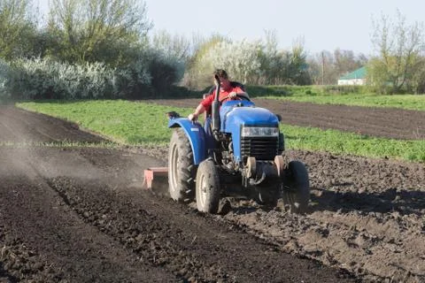 Farmer cultivates the ground on the tractor Stock Photos